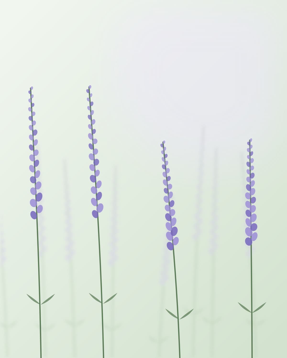 Taller Maggité